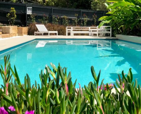 nundah-swimming-pool-1 Beautiful aqua blue backyard swimming pool with lush green plants in the foreground